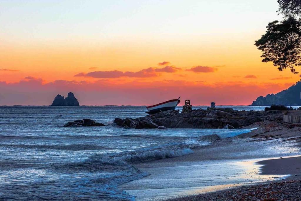 La Digue, 2 Chambres, Vue Mer Et Piscine La Seyne-sur-Mer Dış mekan fotoğraf